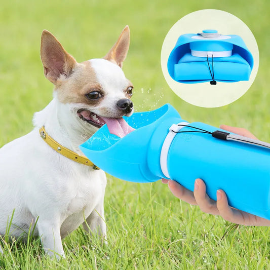 Outdoor-Wasserflasche